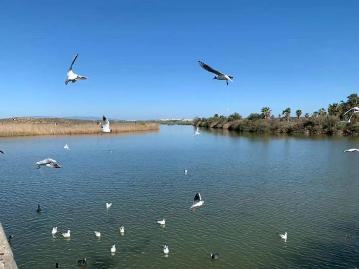Salgados Beach And Relax Guia  Apartment Guia (Faro)